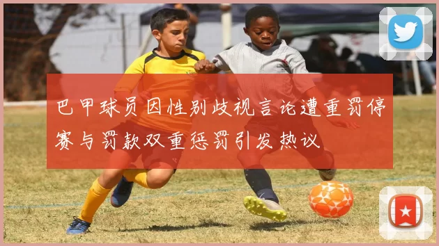 巴甲球员因性别歧视言论遭重罚停赛与罚款双重惩罚引发热议